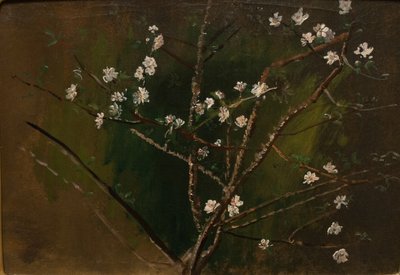 Blossoming by Laszlo Mednyanszky